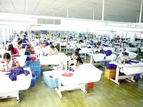 服裝加工 沙市區(qū)恒泰服飾經(jīng)營部