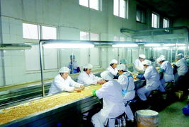 山東 信貸工廠 讓小微走上 流水線