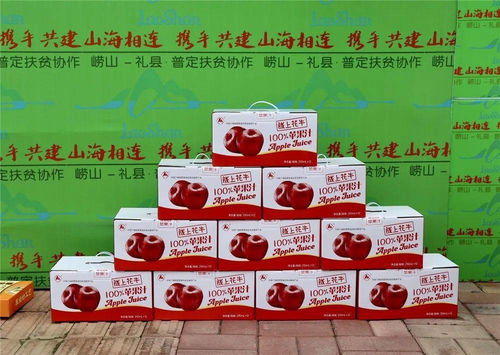 駐地干部現(xiàn)場(chǎng) 帶貨 ,扶貧協(xié)作農(nóng)特產(chǎn)品走上啤酒節(jié)