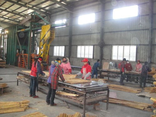 竹膠板設(shè)備竹膠板壓機(jī)生產(chǎn)廠青島國(guó)森機(jī)械