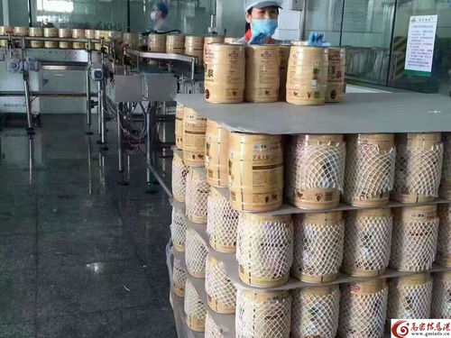 只有7天保質期的青島啤酒一廠5l原漿 喝酒必備